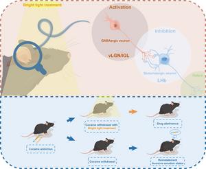 A visual circuit related to the habenula mediates the prevention of cocaine relapse by bright light treatment