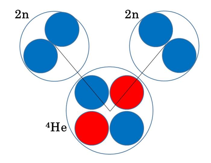 Correlation between neutron pairs in helium-8 nuclei