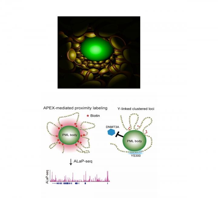 Figure 1 Suggestion