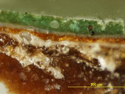 Cross-section of The Sample.