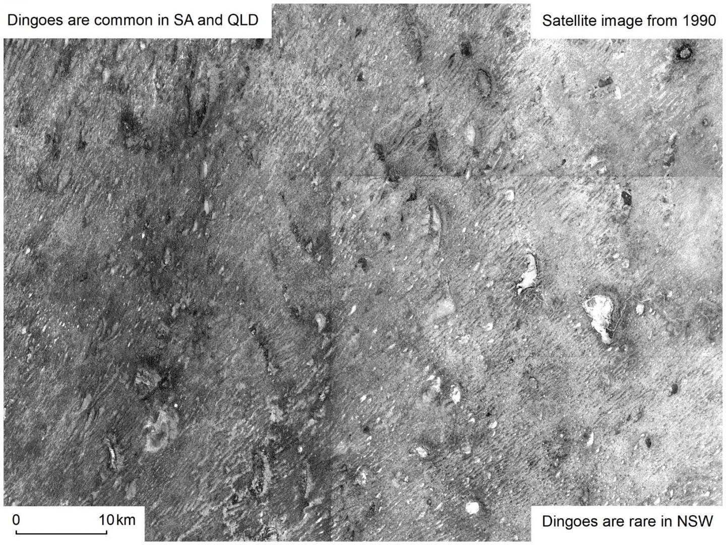 Satellite view of Strzelecki Desert