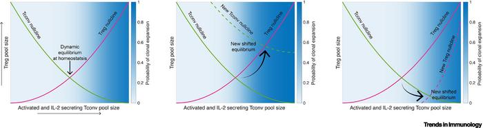 Illustration of how phase portraits corresponding to the dynamics of the Treg–Tconv interplay in different biological contexts can be helpful in understanding Treg behavior and function across contexts.