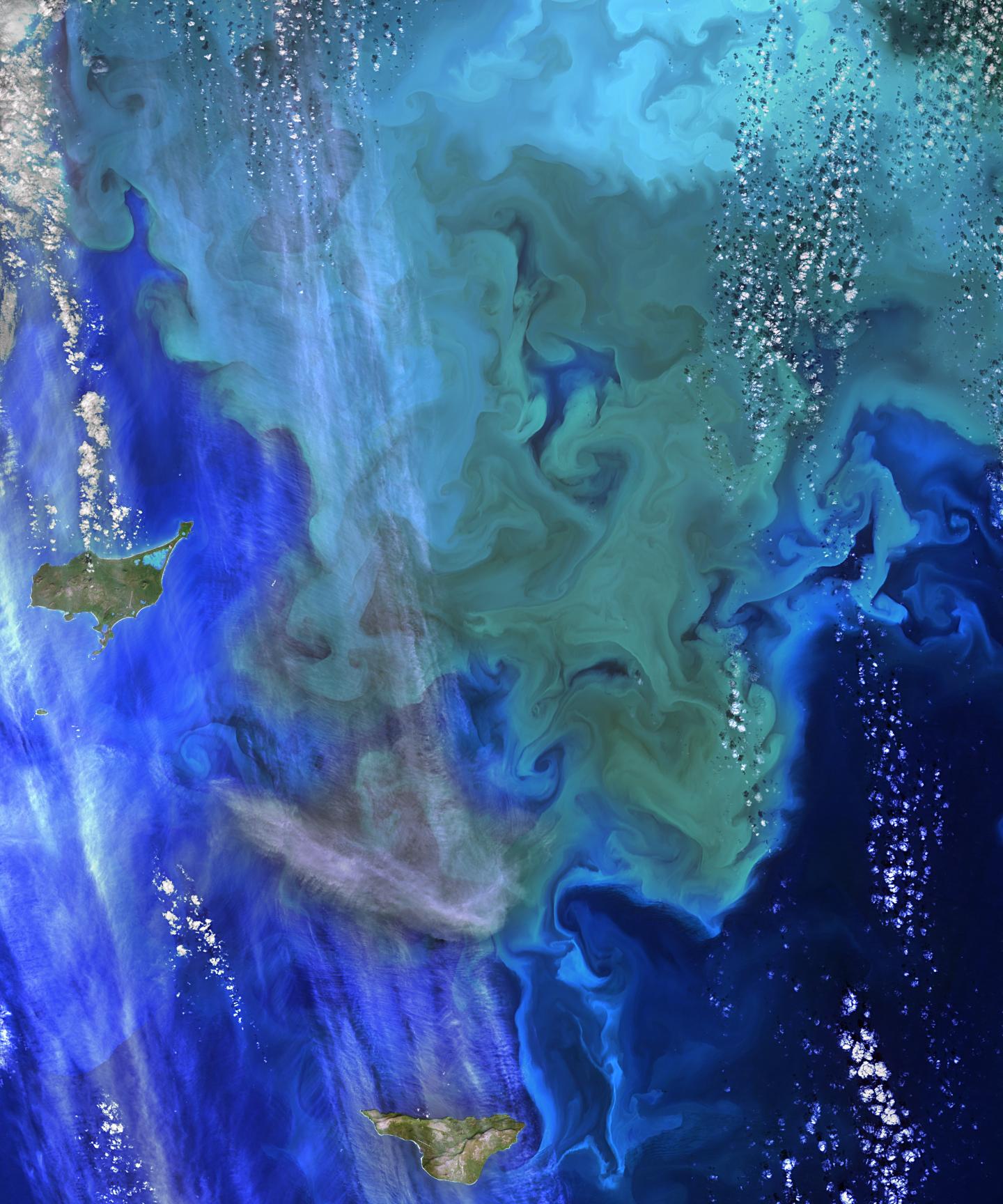 Phytoplankton Bloom Near the Pribilof Islands off the Coast of Alaska