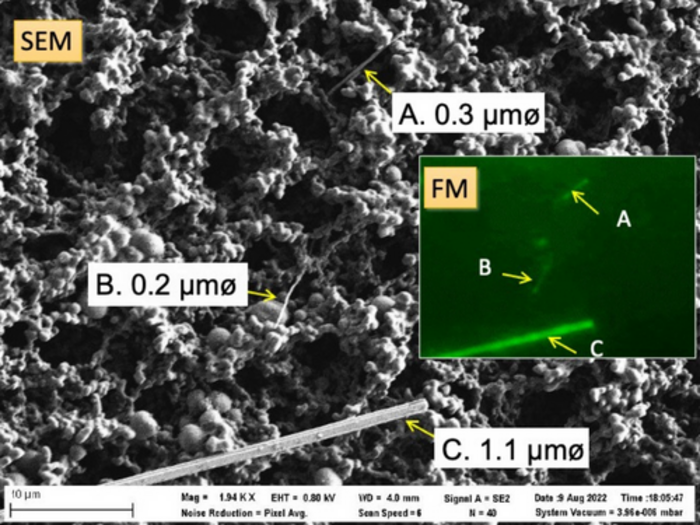 fine asbestos fibers visible under FM and SEM