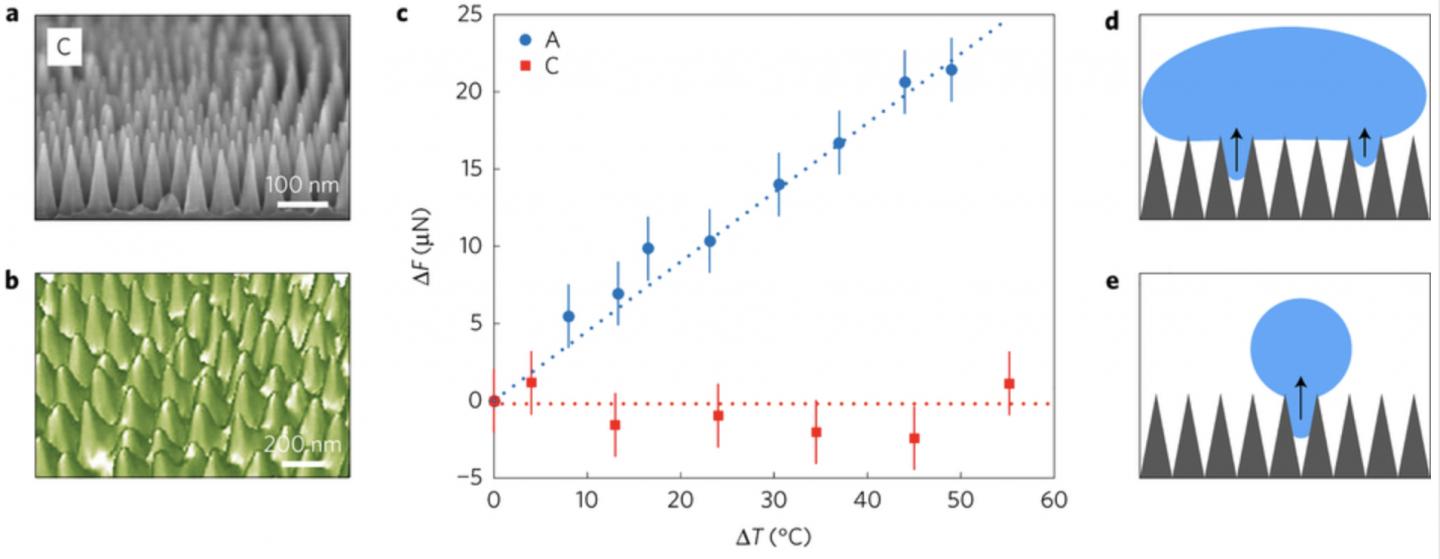 Nanocone Geometry and Nanotexture Adhesion to Warm Water