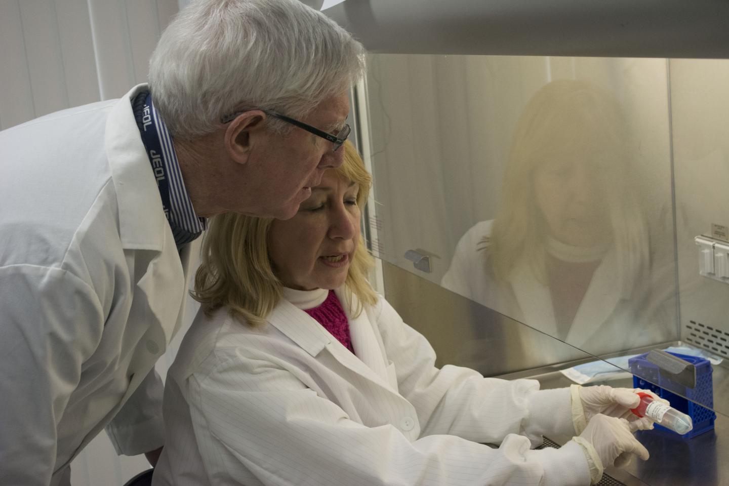 Genes Likely Contribute to High Occurrence of ACL Injuries among Female Athletes