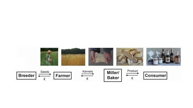 The Wheat Product Chain