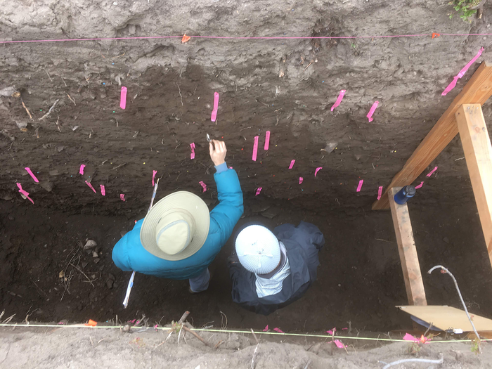 Evidence for Shared Earthquakes Between San Andreas and San Jacinto Faults