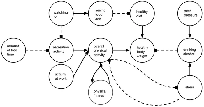 Causal model for managing weight loss