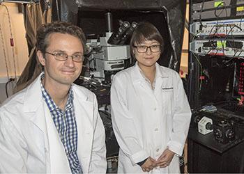 Daniel Kerschensteiner and TahnBee Kim, Washington University