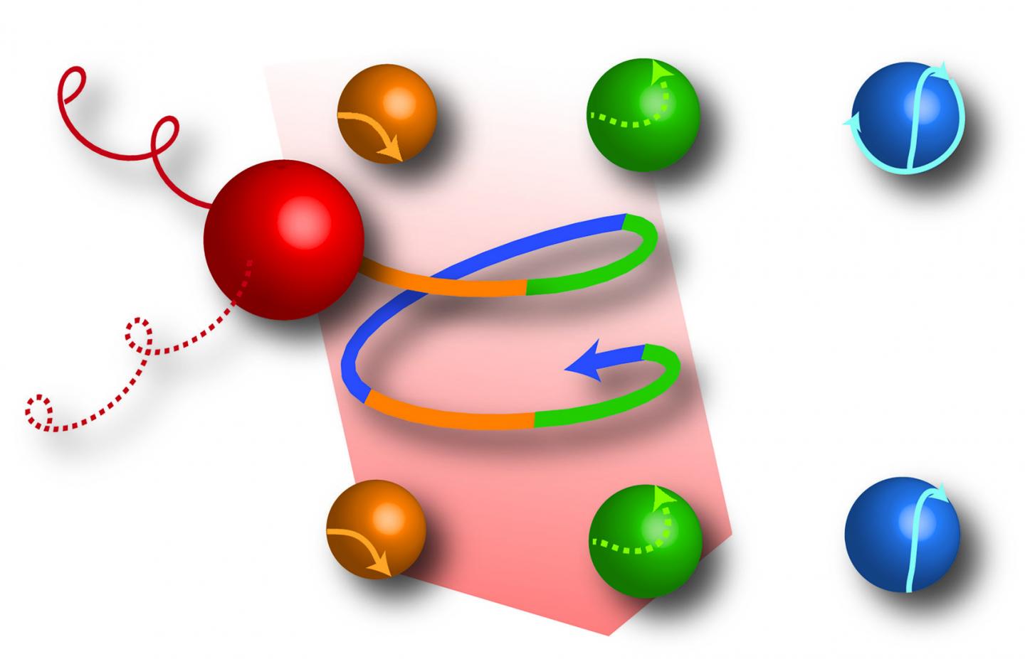 <i>Magnetococcus marinus</i>