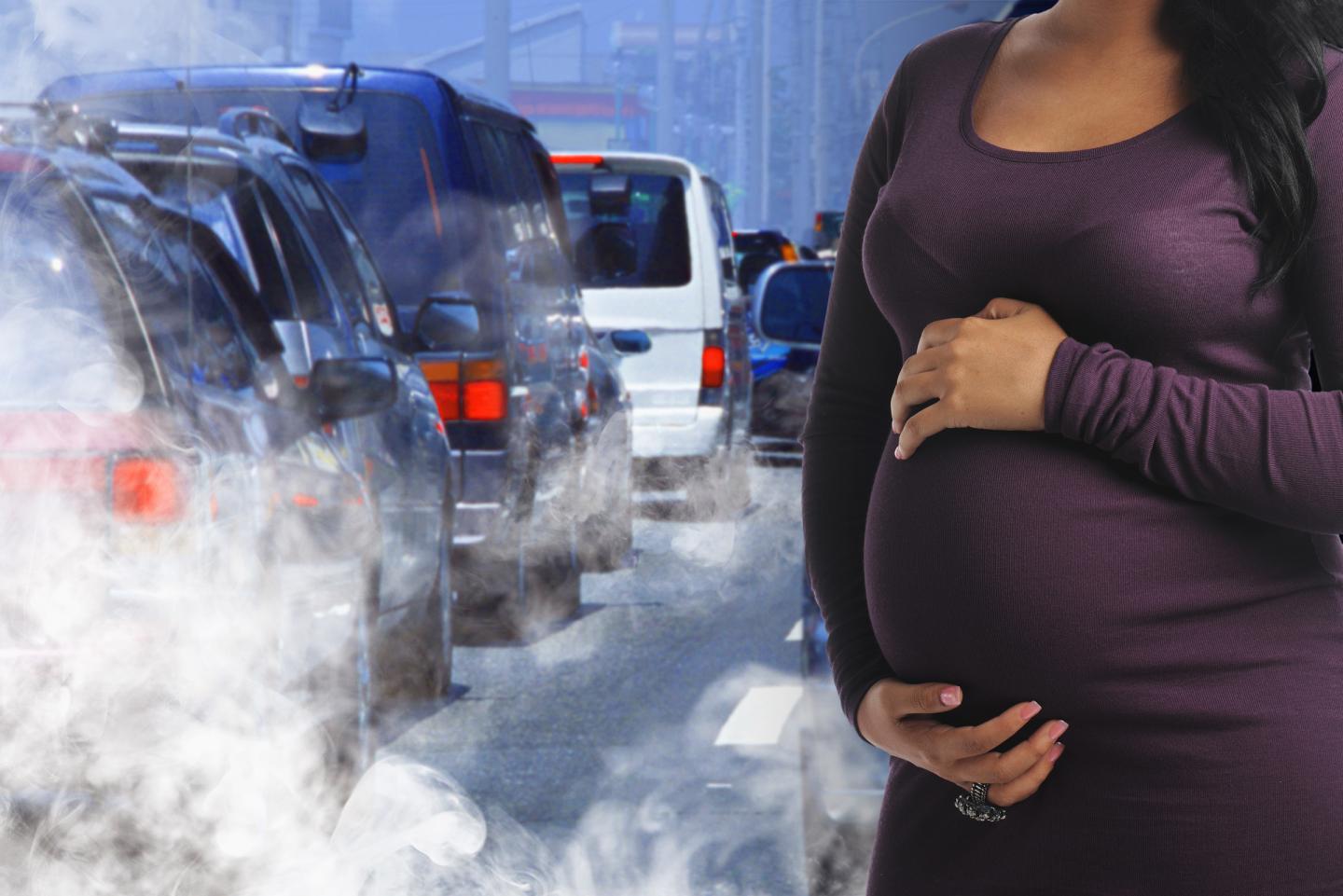 Image of Pregnant Women and Air Pollution