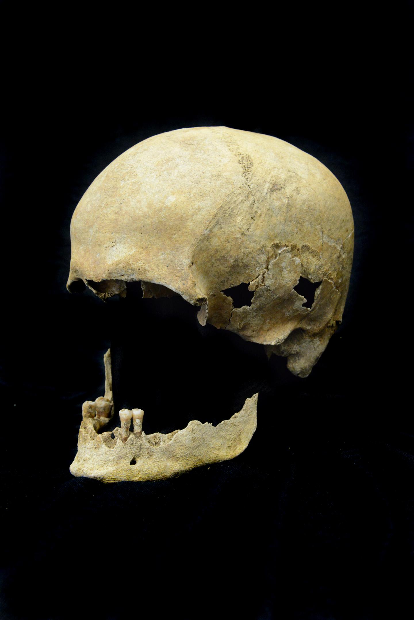Skeleton Petersberg