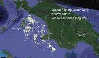 Animated VIIRS and VMS Data Combined