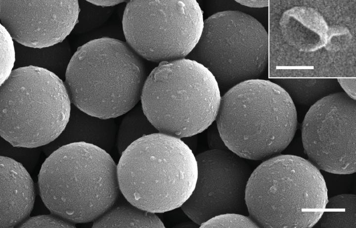 Nanopatterned "Lab-On-A-Chip" Noninvasively Detects Early and Advanced Breast Cancer (2 of 4)