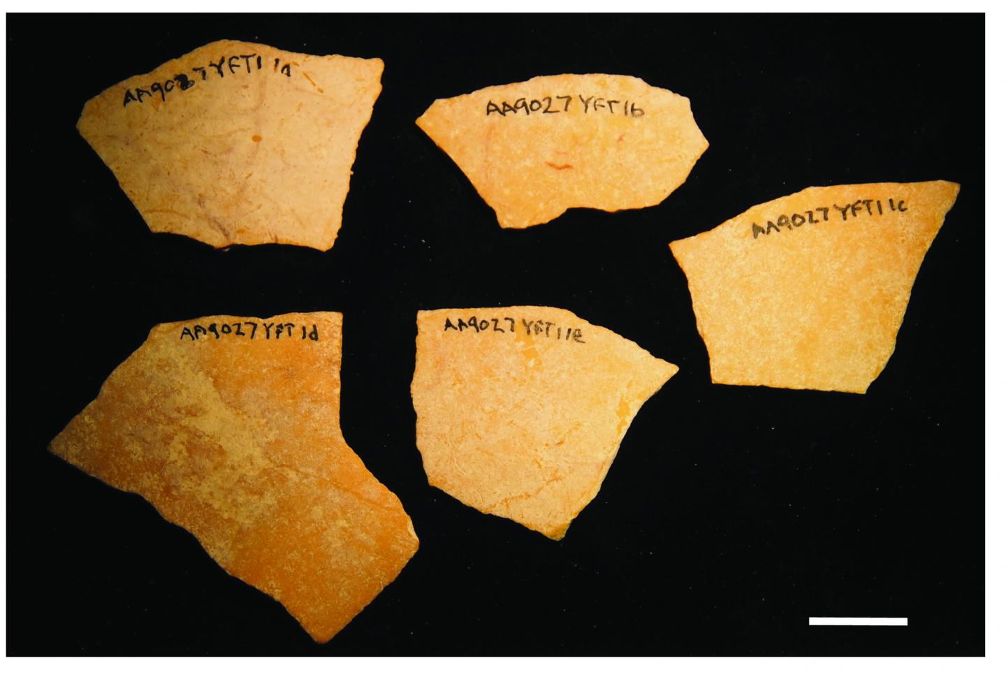120,000-year-old ostrich eggshells from South African midden