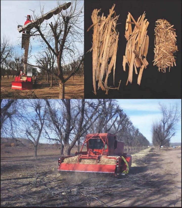 Recycling Pecan Wood for Commercial Growing Substrates