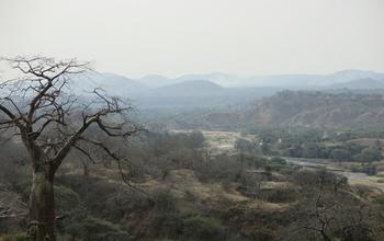 Fungus Agriculture Increased the Range of Possible Habitats