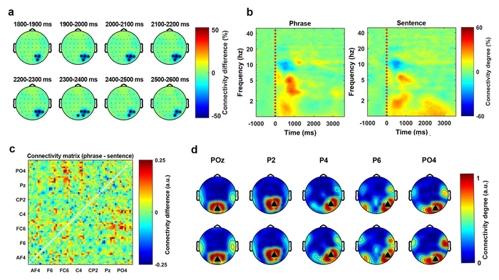 Fig 3. Low-frequency phase connectivity separates phrases and sentences