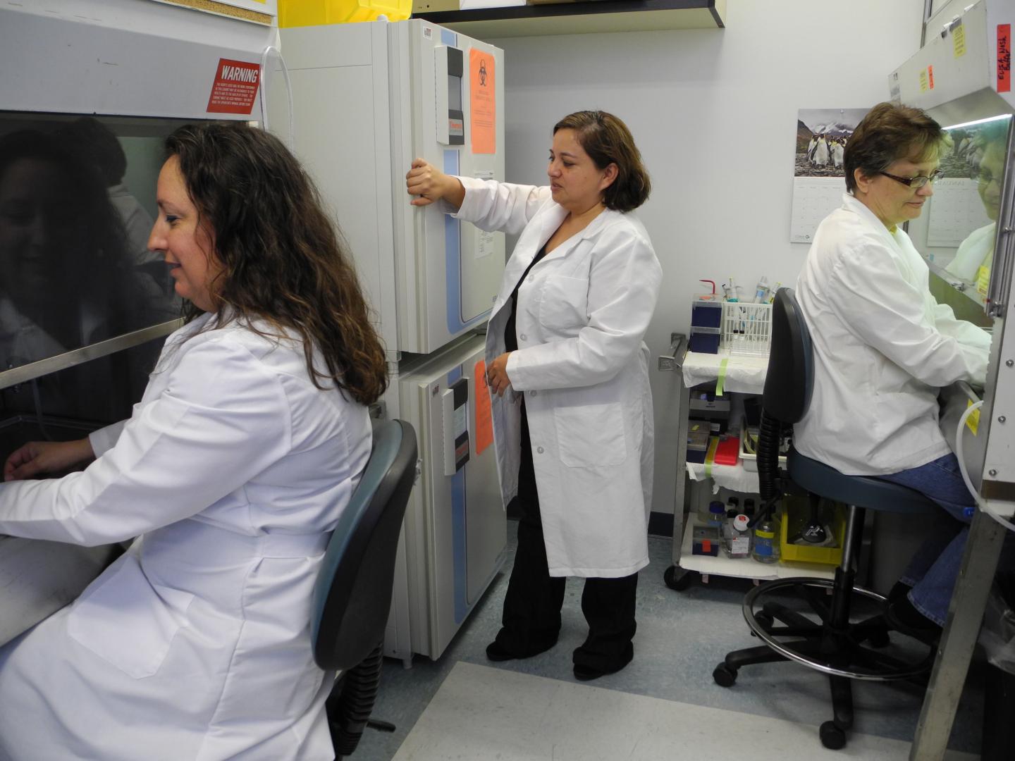 Marine Organisms Hold Promise for Treating Triple Negative Breast Cancer