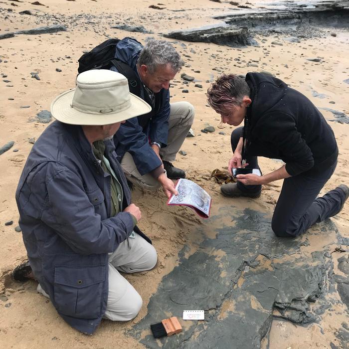 Examining a track