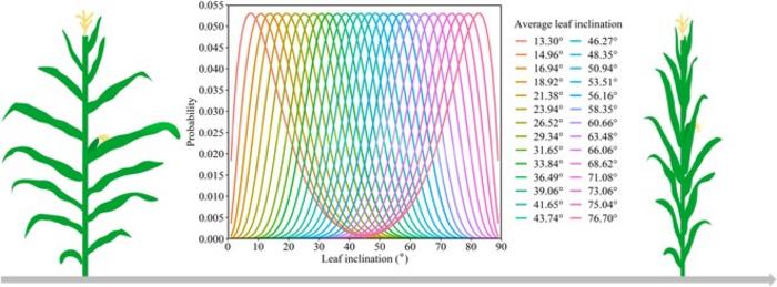 Fig.1 Leaf inclination distributions simulated using a beta distribution function.