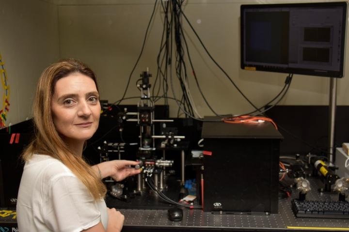 Dr. Domna Kotsifaki, OIST