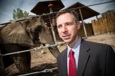 Why Elephants Rarely Get Cancer