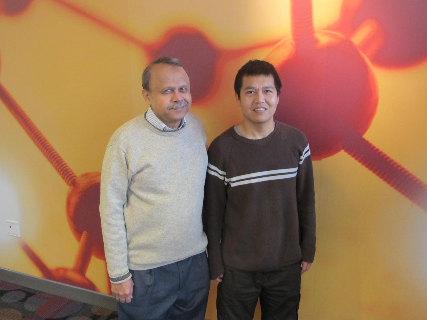 Drs. Ashok Bhagwat and Weilong Hao, Wayne State University