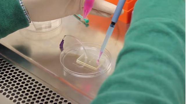 The PharmaFlux Device