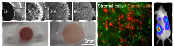 An Integrated Microfluidic Chip Design
