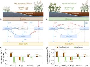 Pathways driving bound OC% changes after wetland drainage and the effect size of environmental variables