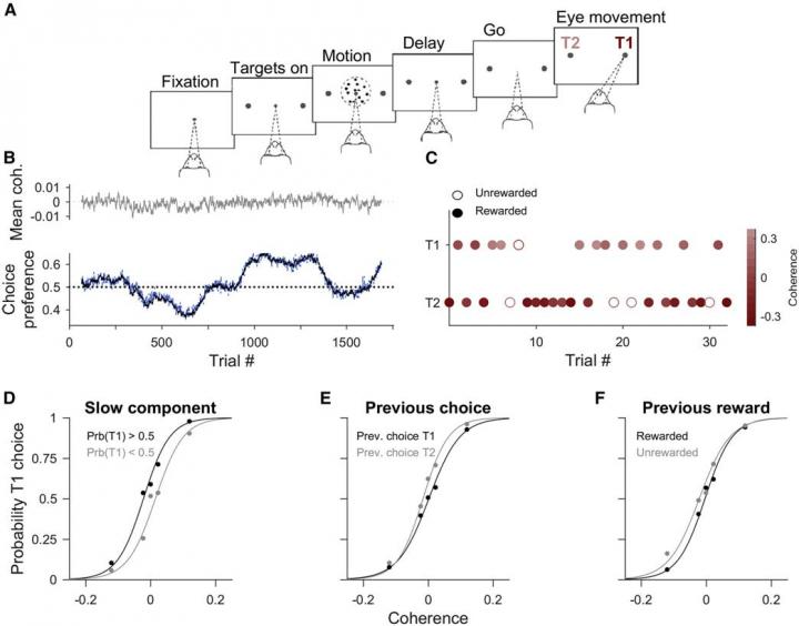 Outline of the work by Moreno et al., published in Current Biology