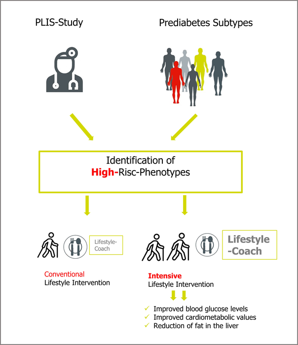 Different effects of lifestyle intervention in high- and low-risk prediabetes