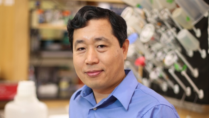 Kezhong Zhang, Ph.D., professor of Molecular Medicine and Genetics, and Biochemistry, Microbiology and Immunology, Wayne State University