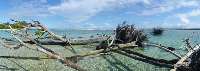 Sea-level rise impacts, Solomon Islands