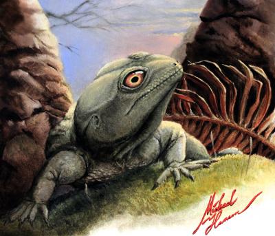 <i>Colobops noviportensis</i> Artist's Rendering