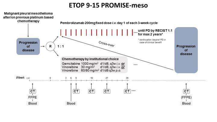 Phase III PROMISE-Meso Trial Design