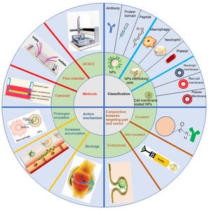 Development of nanoparticle-based drug delivery system for inflammation treatment and diagnosis