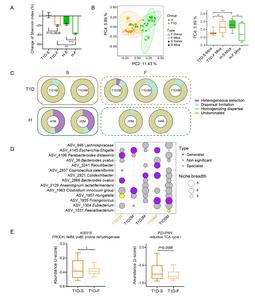 Microbiota analysis of human donor and recipient mice