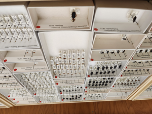 Specimen drawers