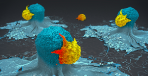 Cancer Immunotherapy