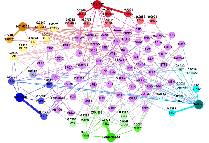Pivotal proteins identified