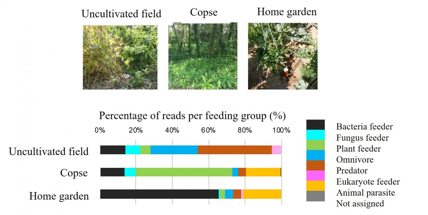 Analysis of Three Soil Nematode Communities by DNA Barcoding