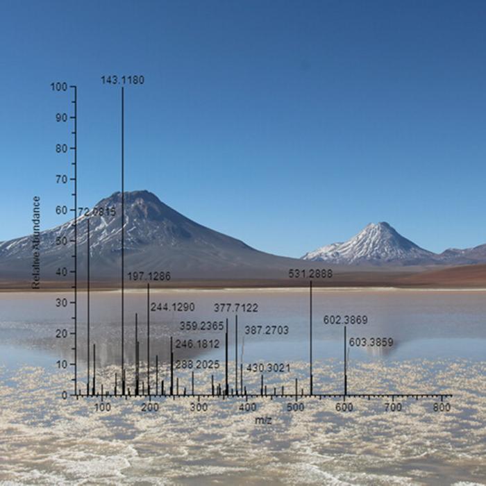 Protein fragments ID two new “extremophile” microbes— and may help find alien life