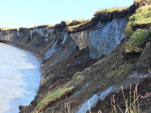 Ice-rich permafrost bluffs