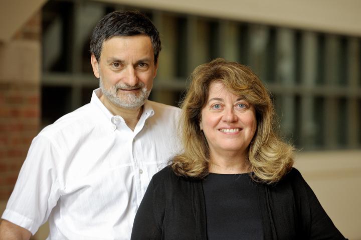 Gabrielle Gratton and Monica Fabiani