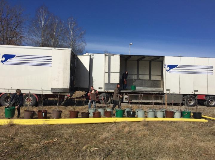 Setting up the Experiment