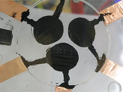 Chromatophores Shown in Unactuated States