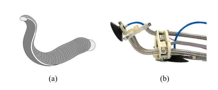 Schematic of Proposed Climbing Robot
